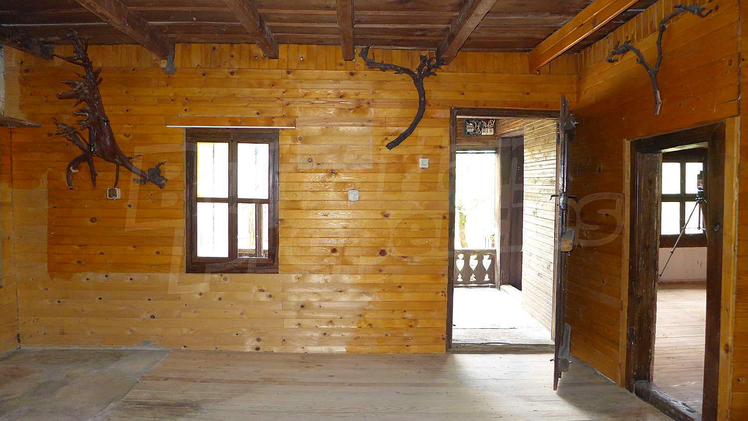 Gallery Picture 17