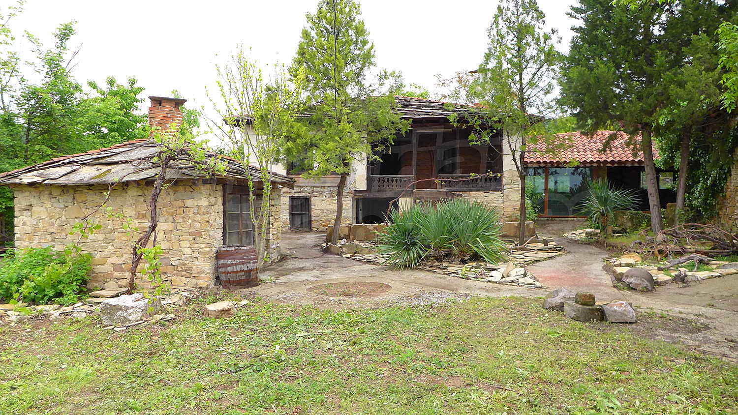 Gallery Picture 46