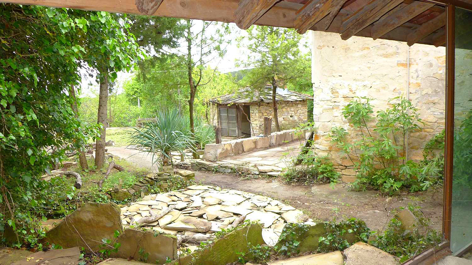 Gallery Picture 37