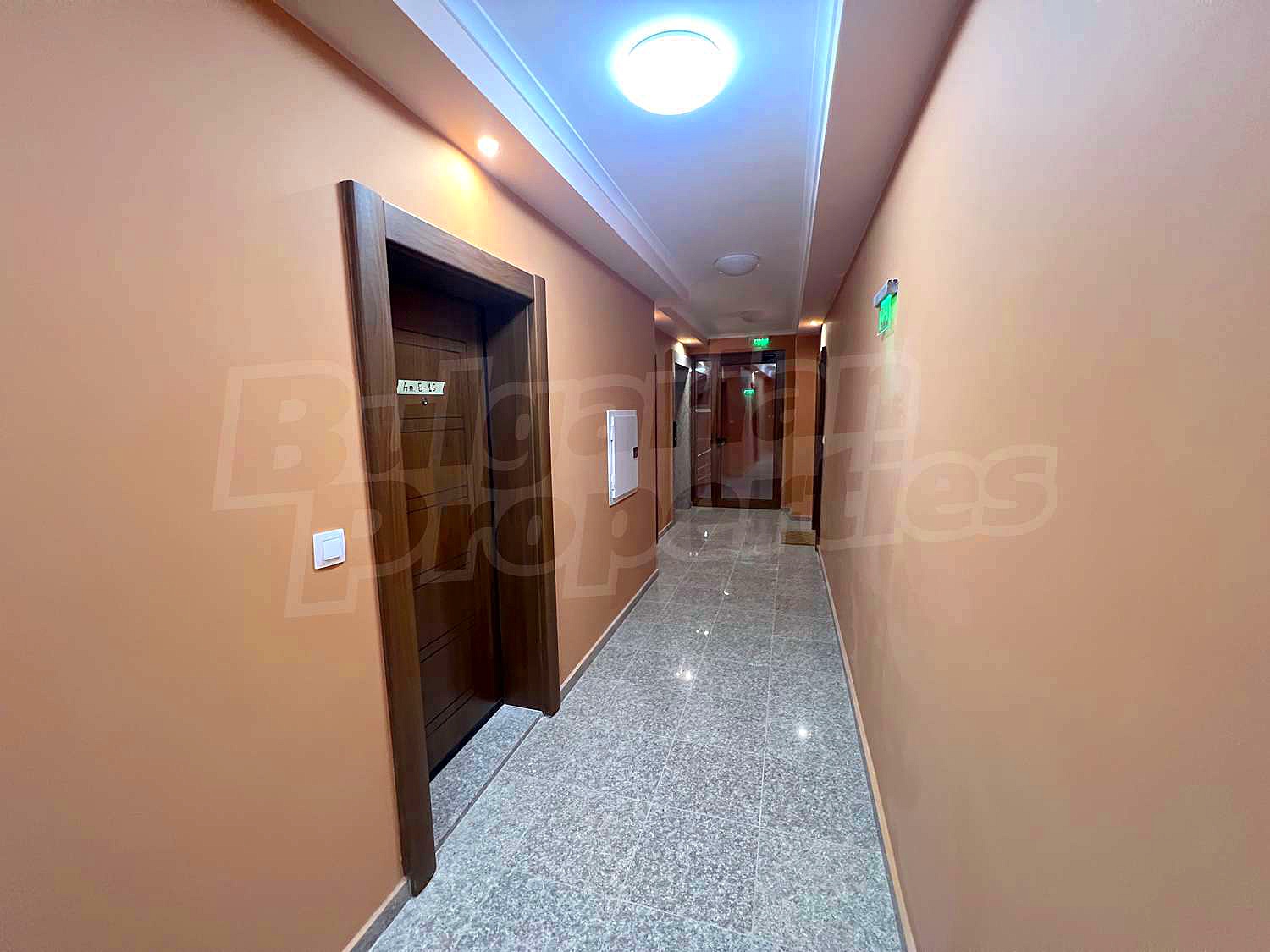 Gallery Picture 15