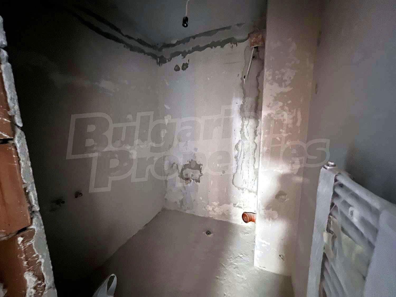 Gallery Picture 34