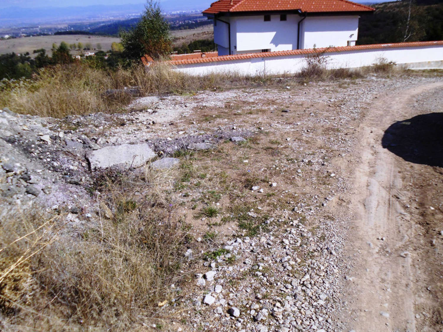 Gallery Picture 11