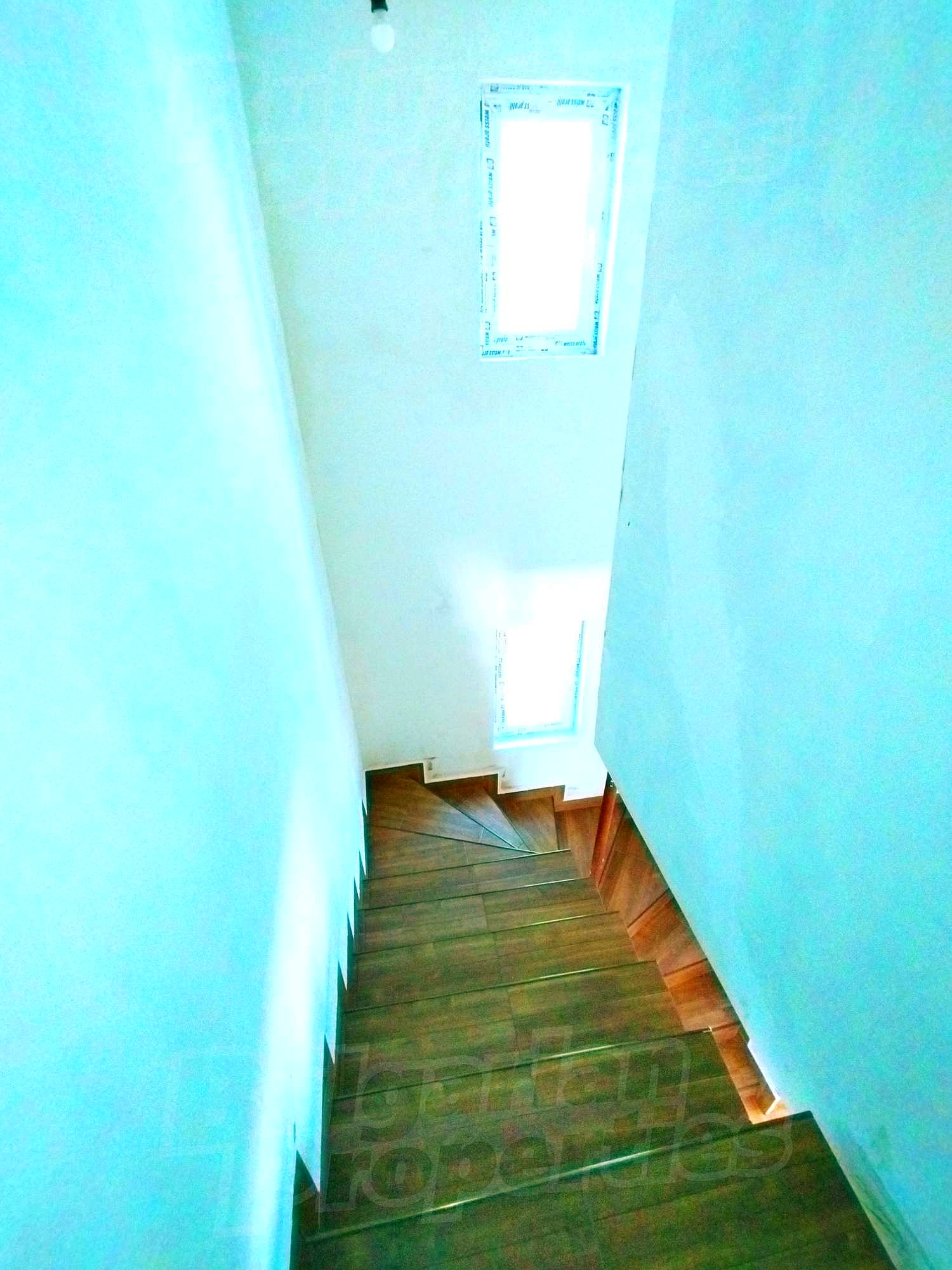 Gallery Picture 5