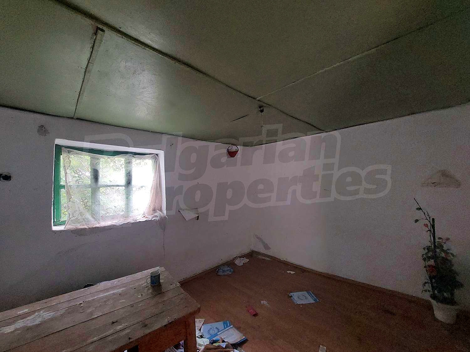 Gallery Picture 11