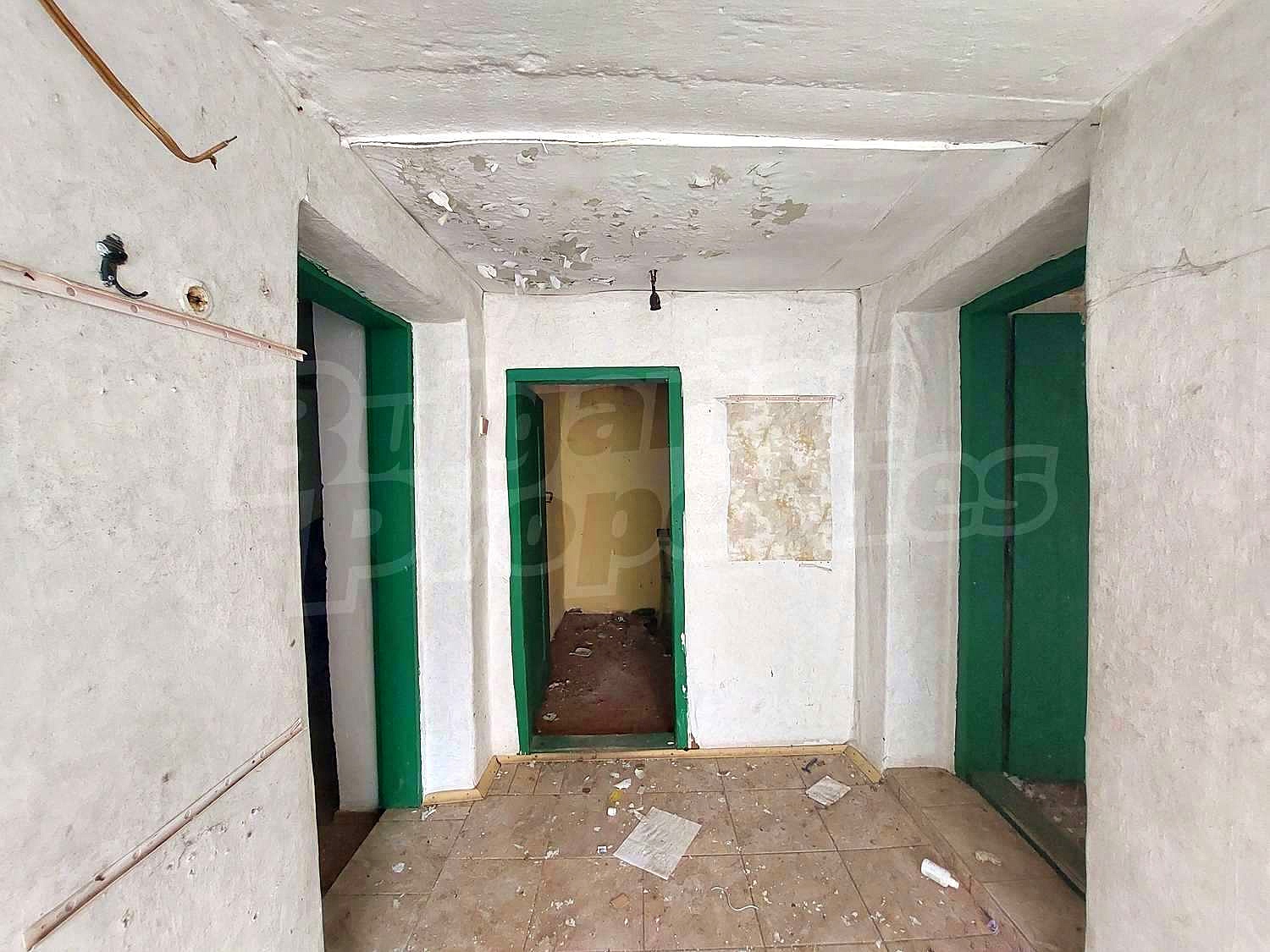 Gallery Picture 17