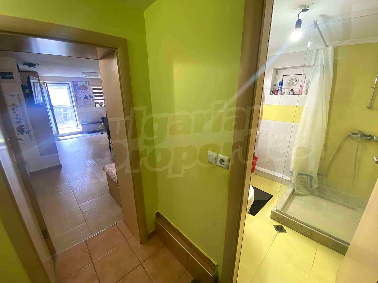 Gallery Picture 11