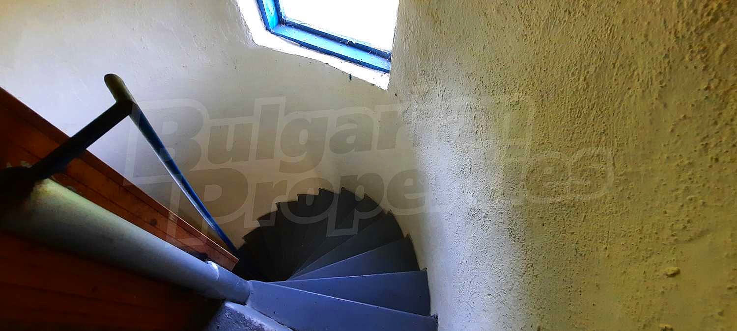 Gallery Picture 16