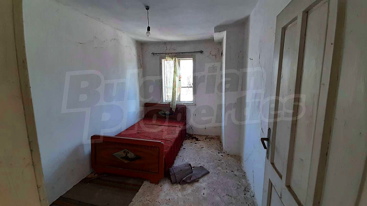 Gallery Picture 22