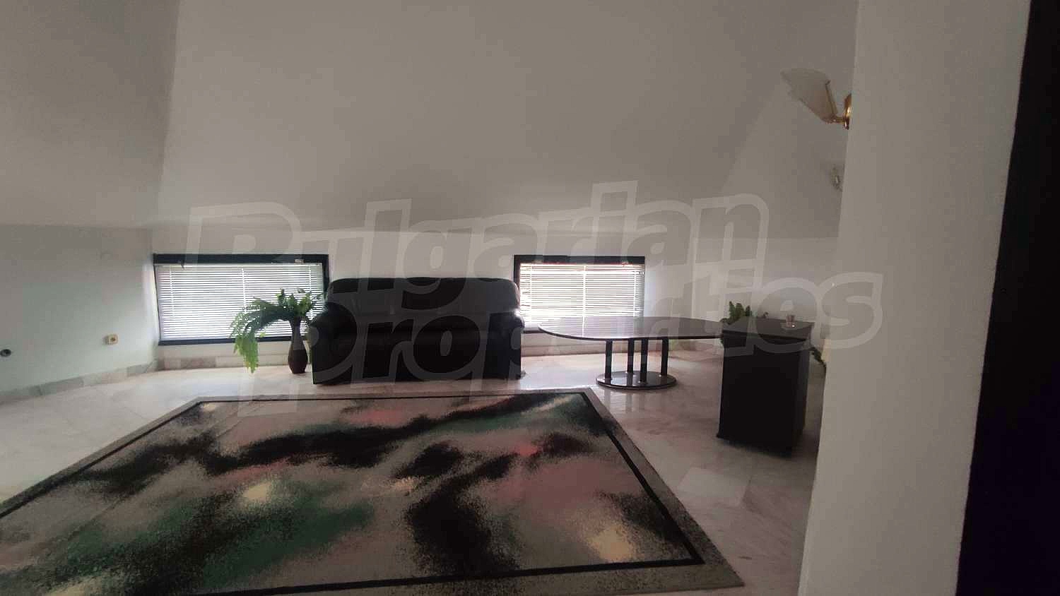 Gallery Picture 15