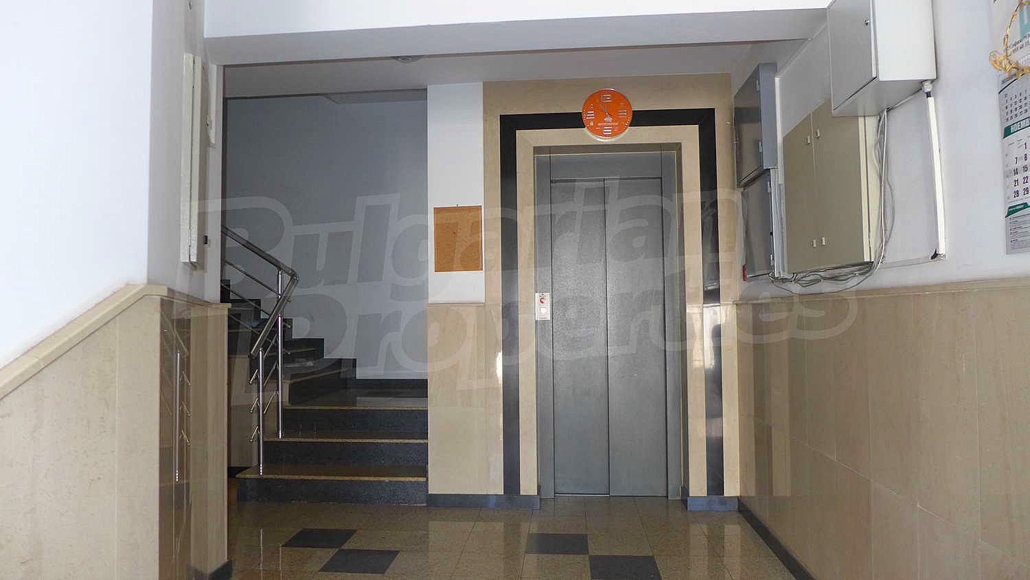 Gallery Picture 17