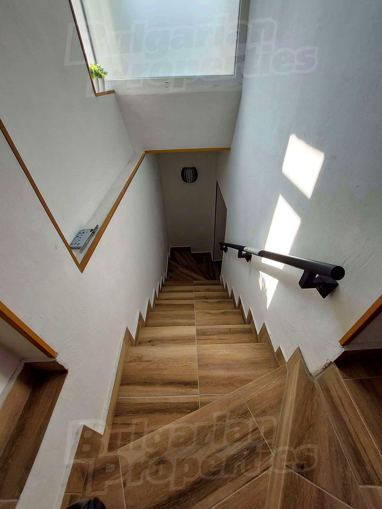 Gallery Picture 37