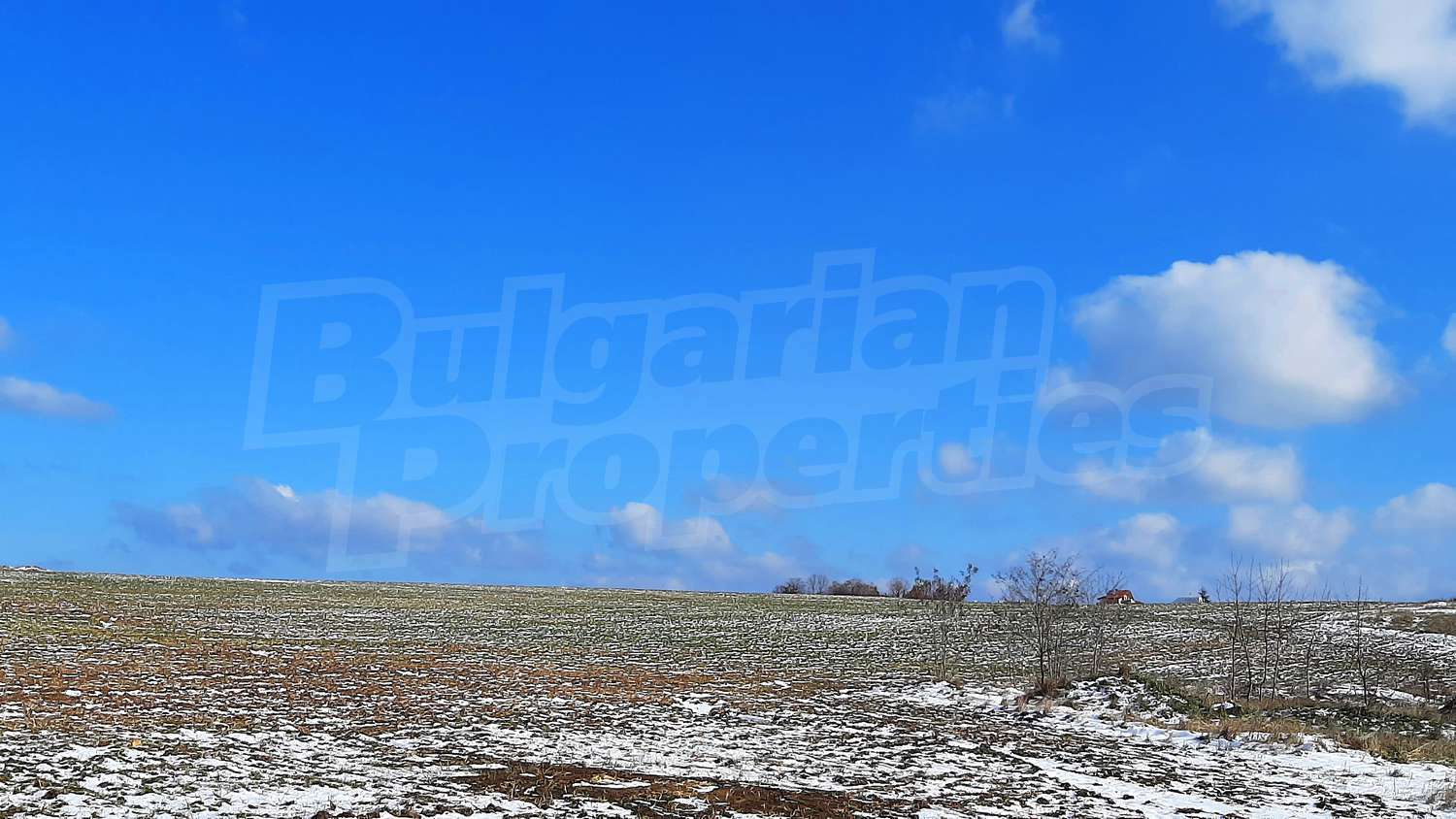 Gallery Picture 6