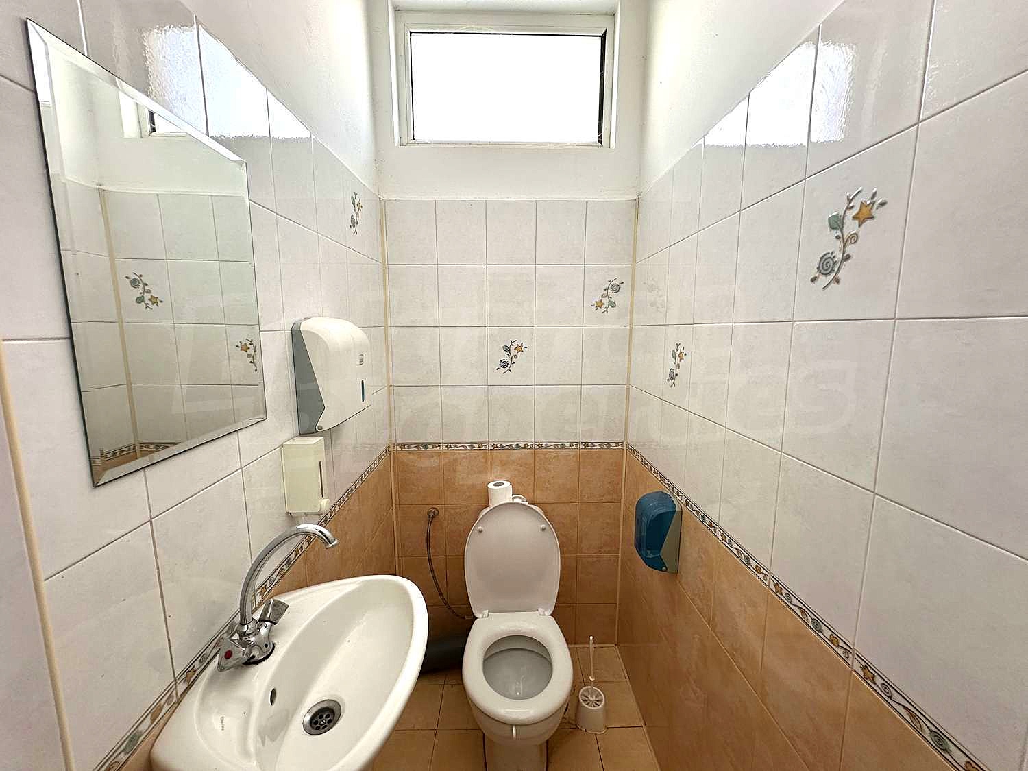 Gallery Picture 18