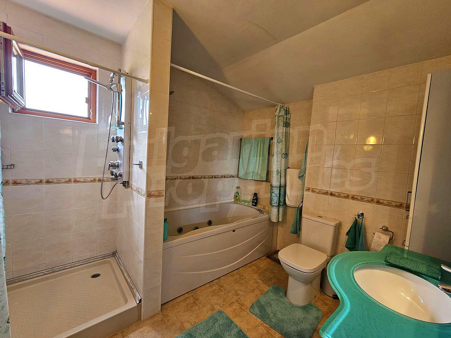 Gallery Picture 41