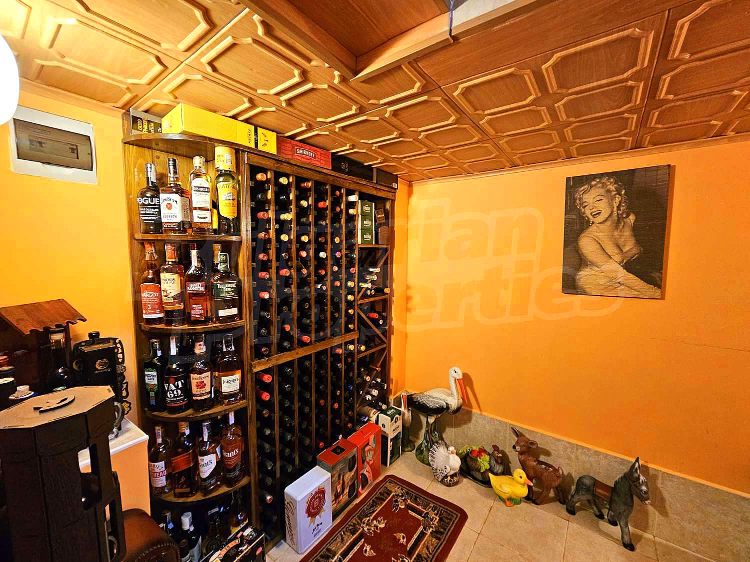 Gallery Picture 17