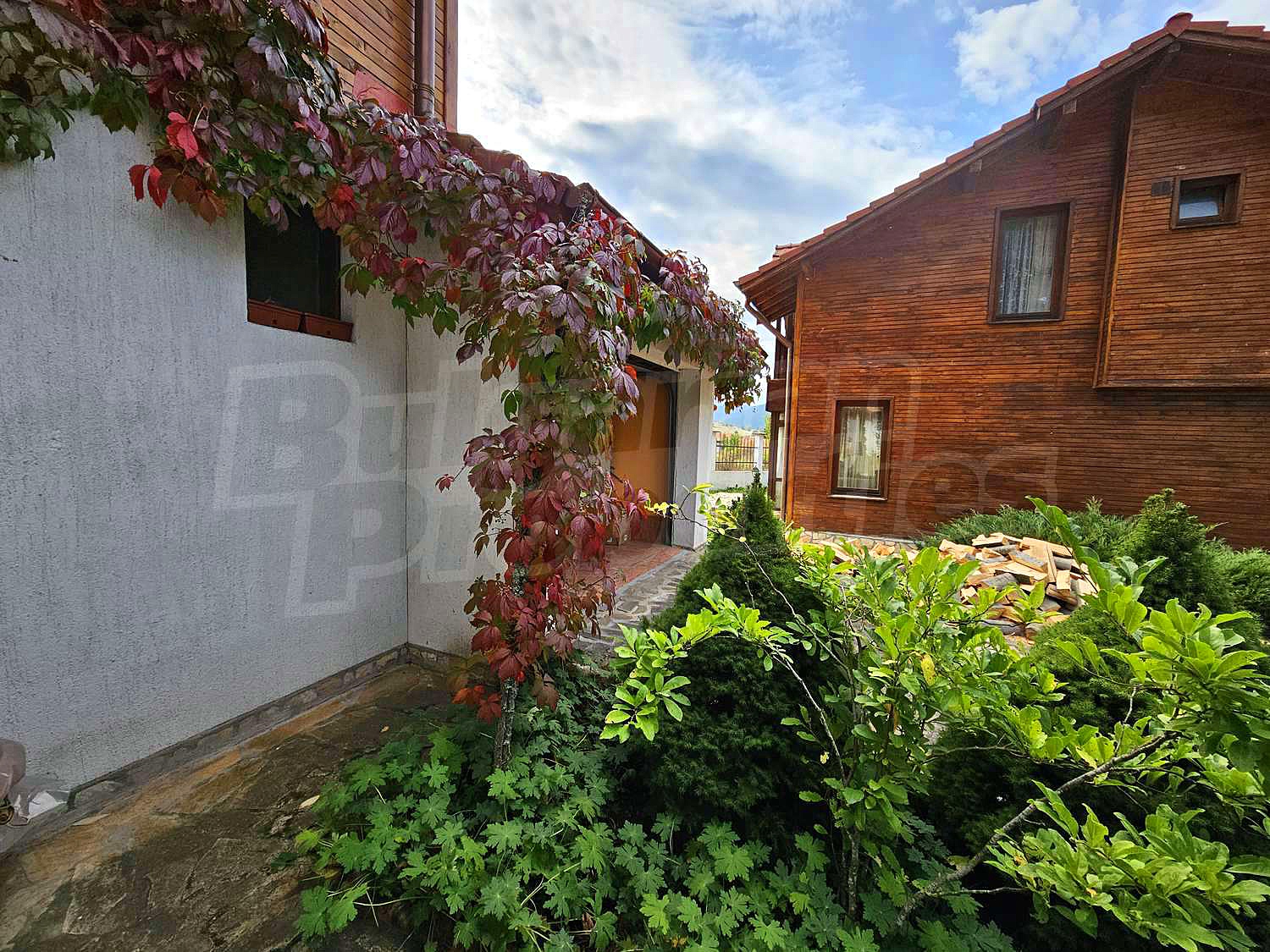 Gallery Picture 46
