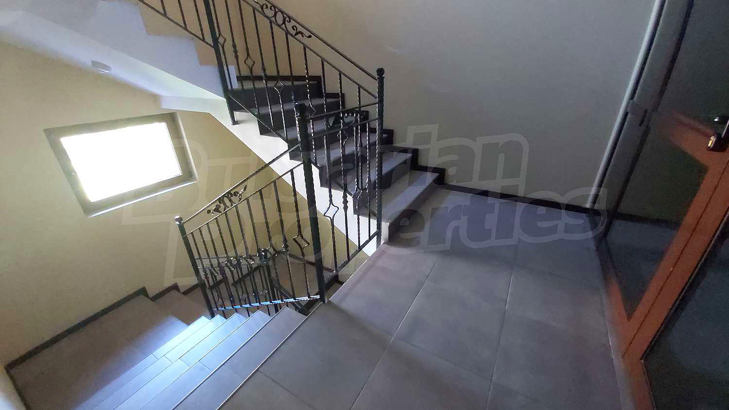 Gallery Picture 19