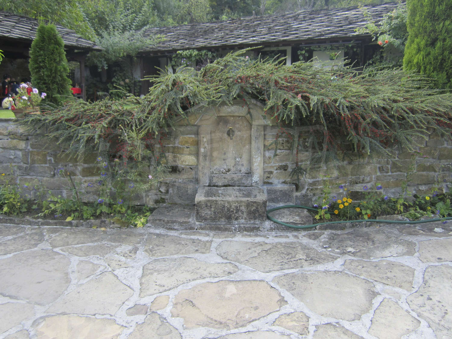 Gallery Picture 22