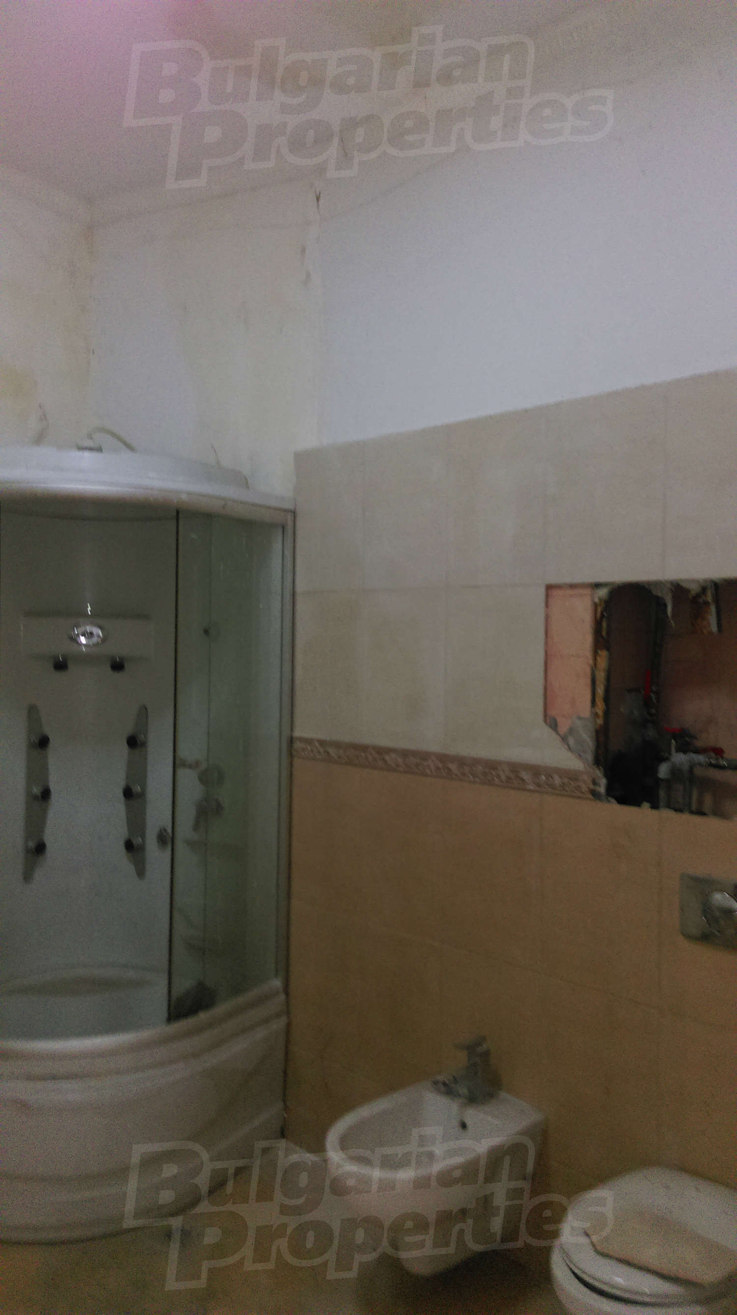 Gallery Picture 5