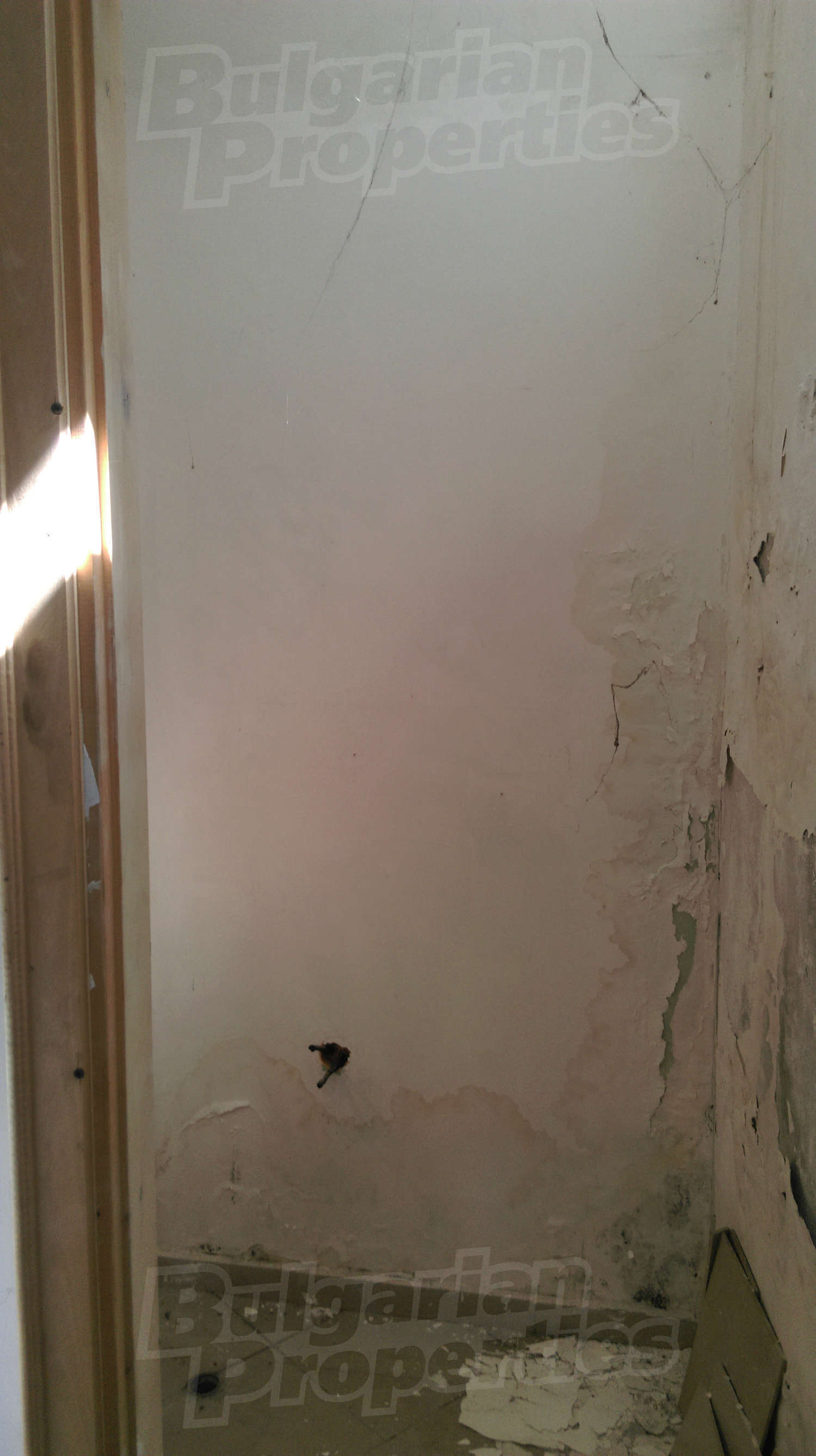Gallery Picture 3