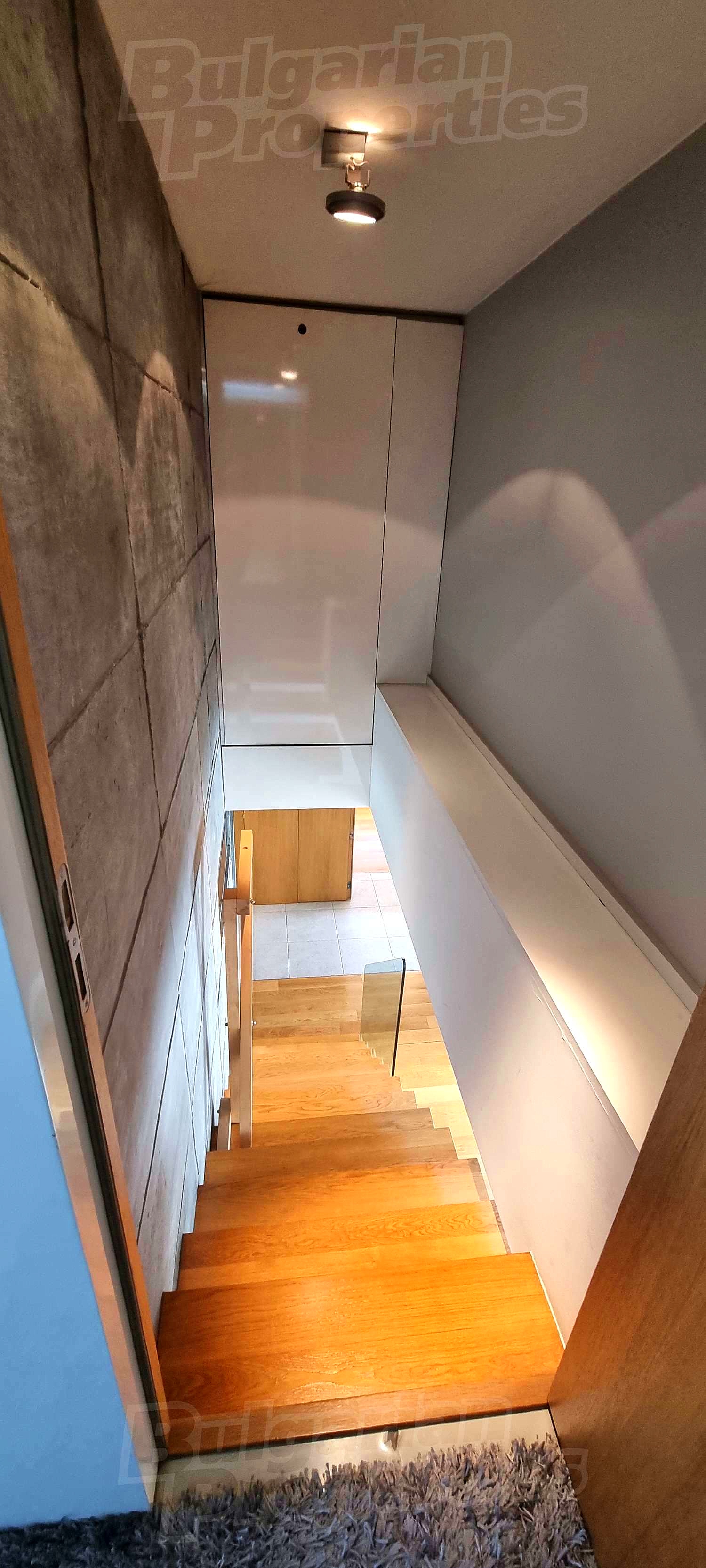 Gallery Picture 46