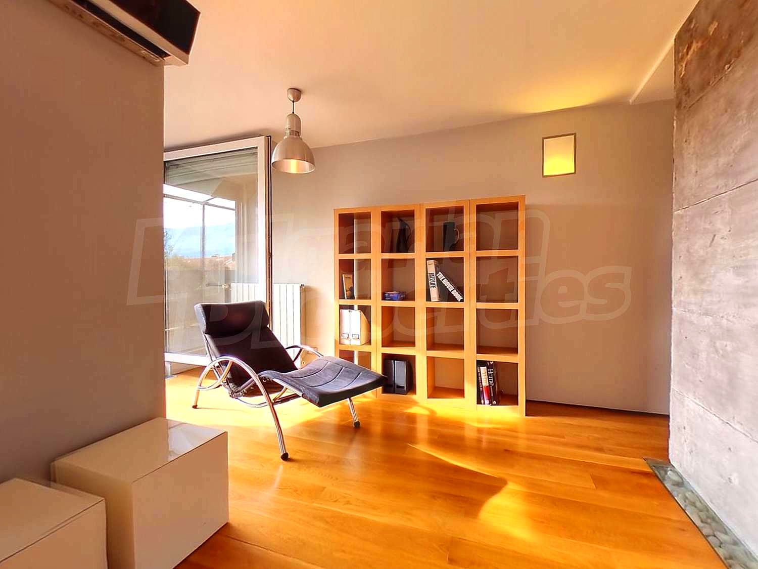 Gallery Picture 59