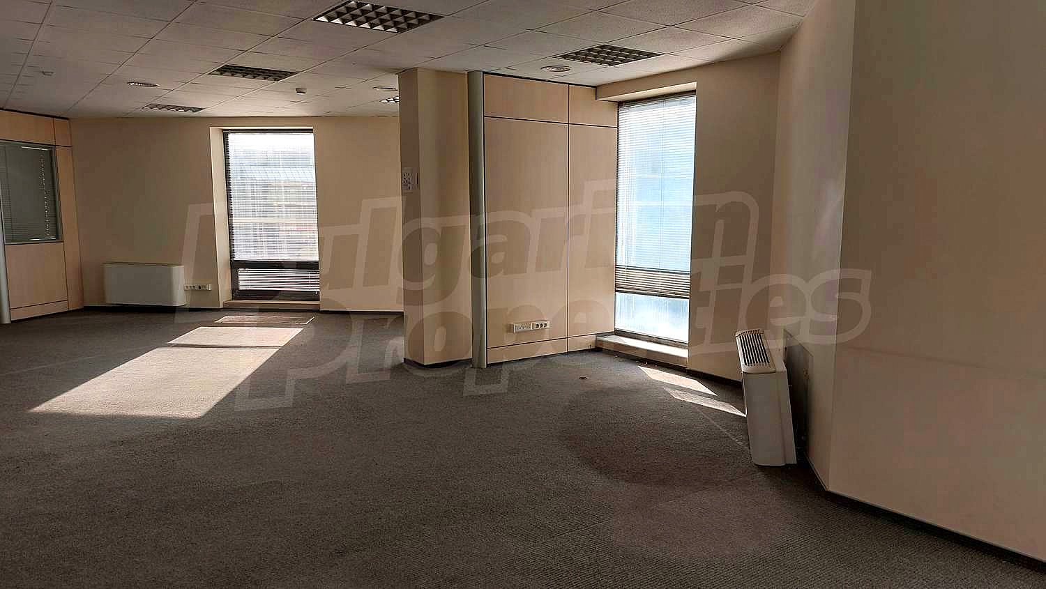 Gallery Picture 15