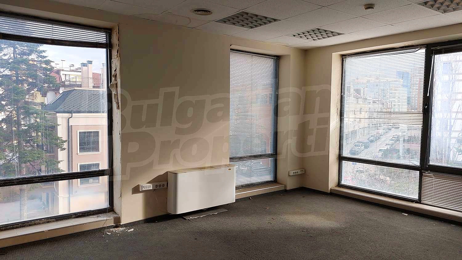 Gallery Picture 33