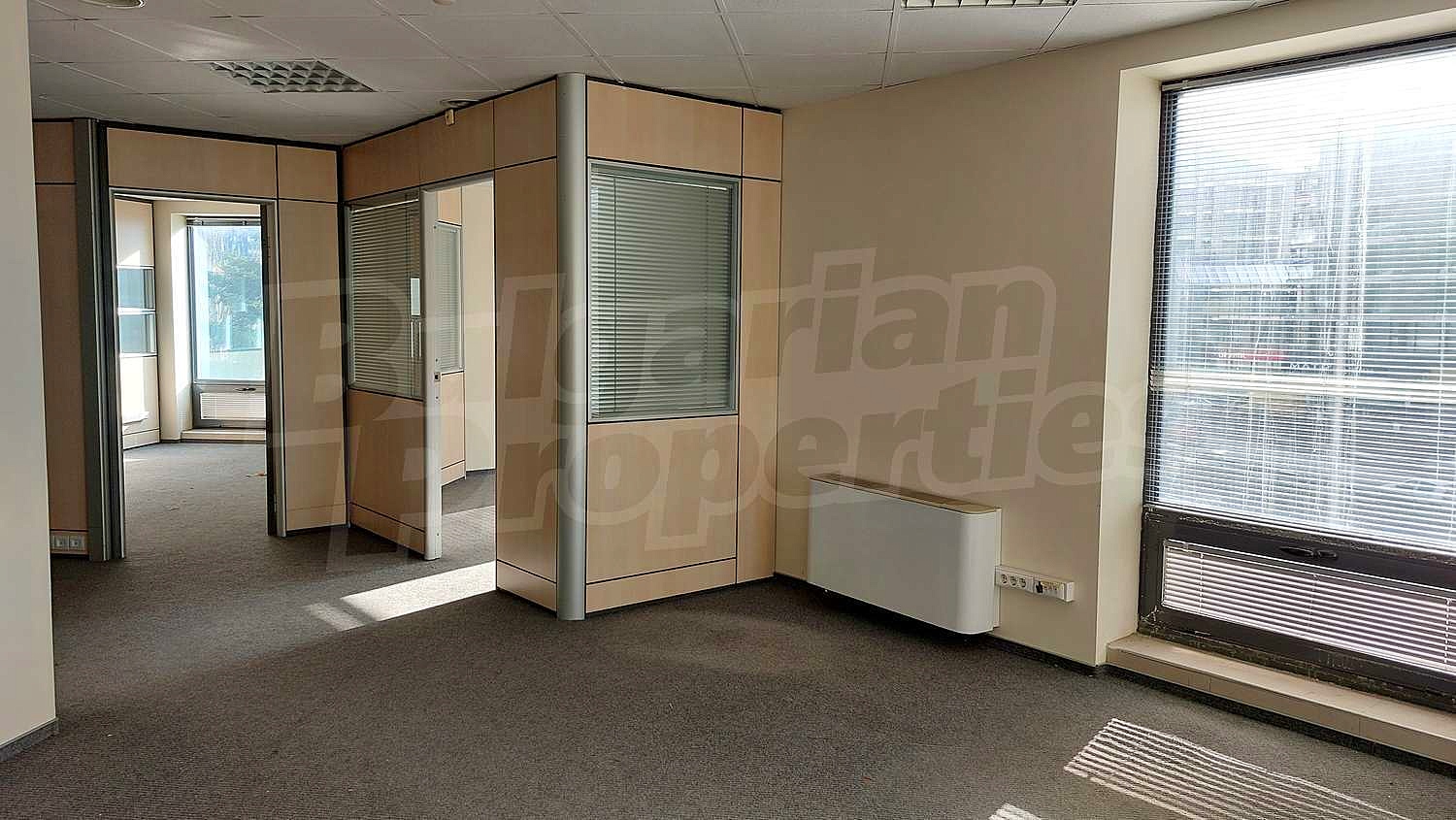 Gallery Picture 8