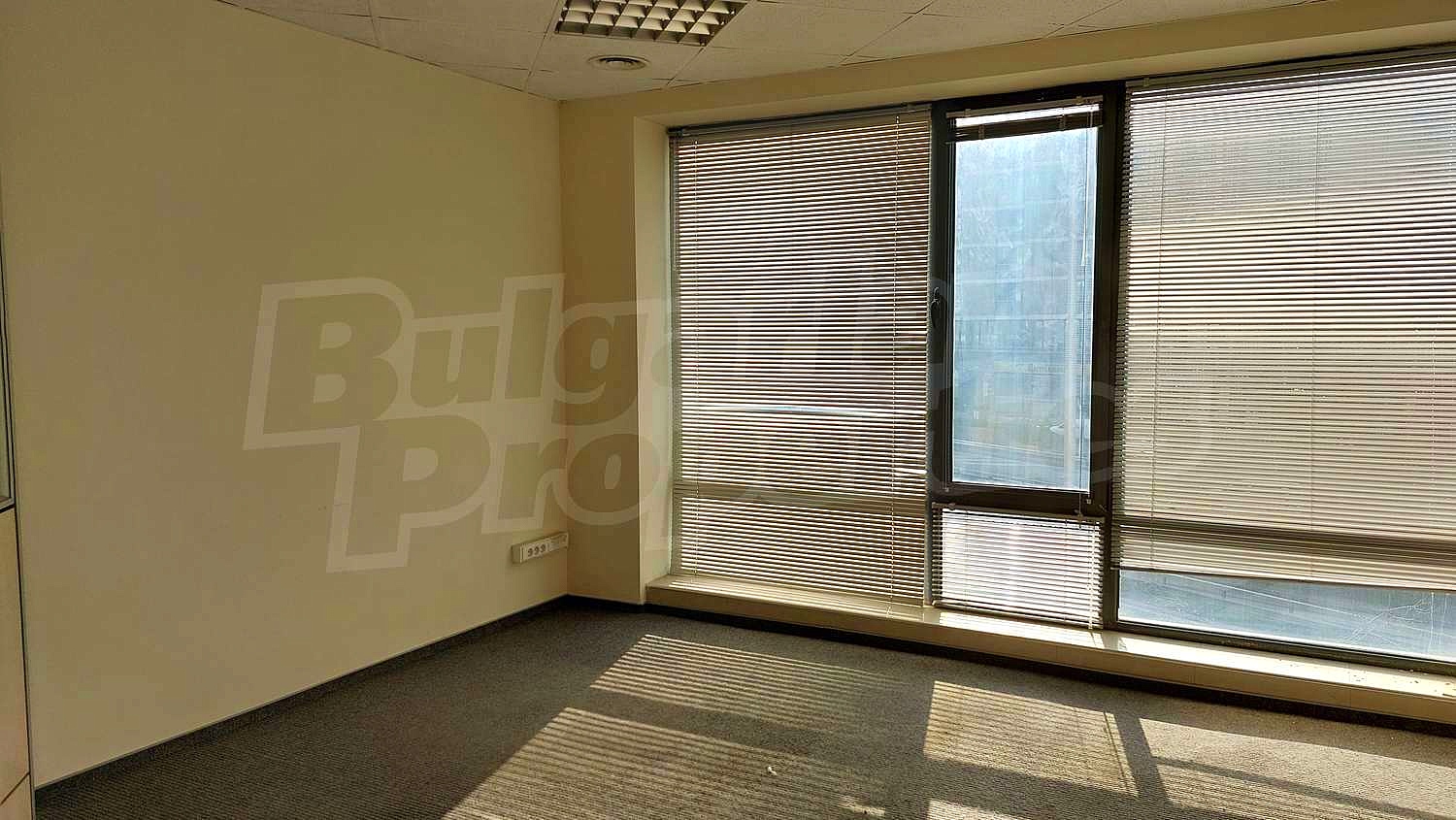 Gallery Picture 43