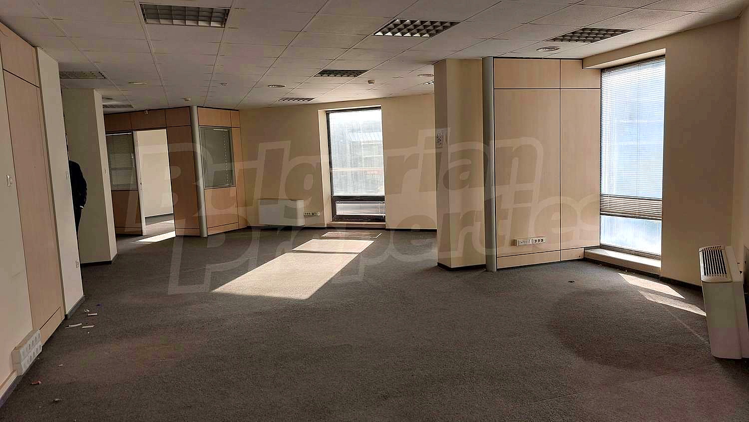 Gallery Picture 13