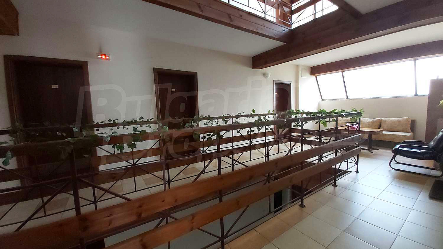 Gallery Picture 13