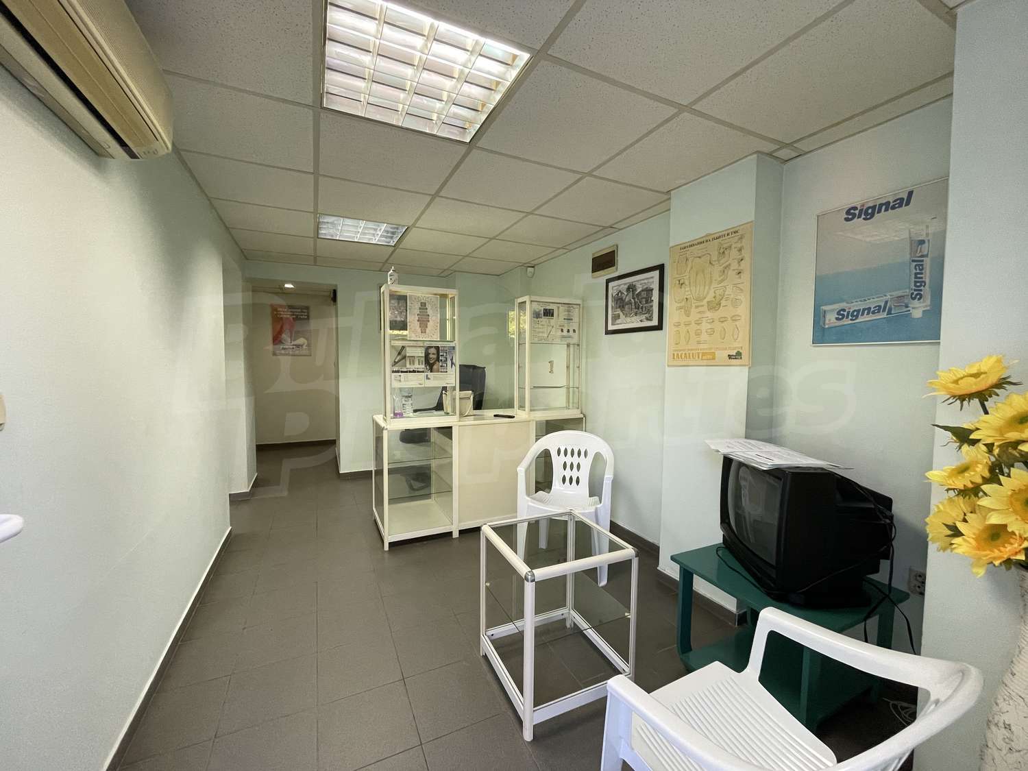 Gallery Picture 6