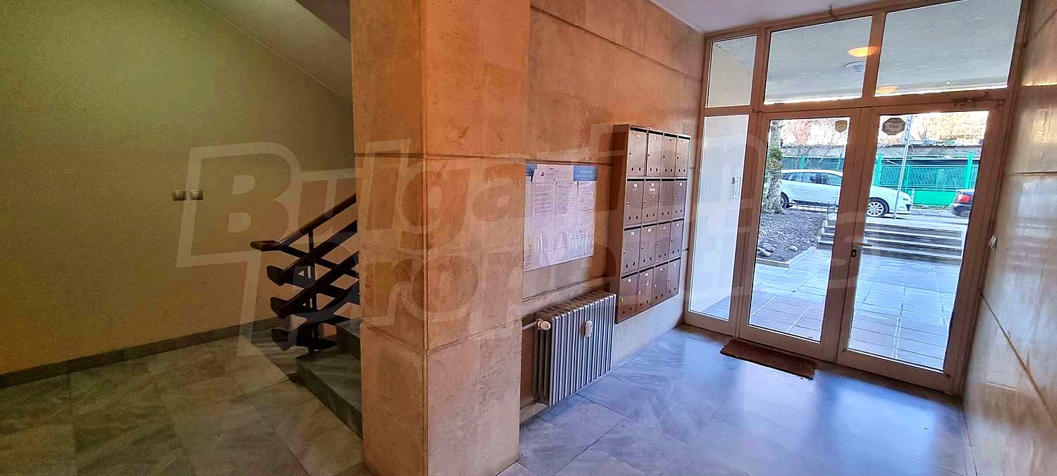 Gallery Picture 17