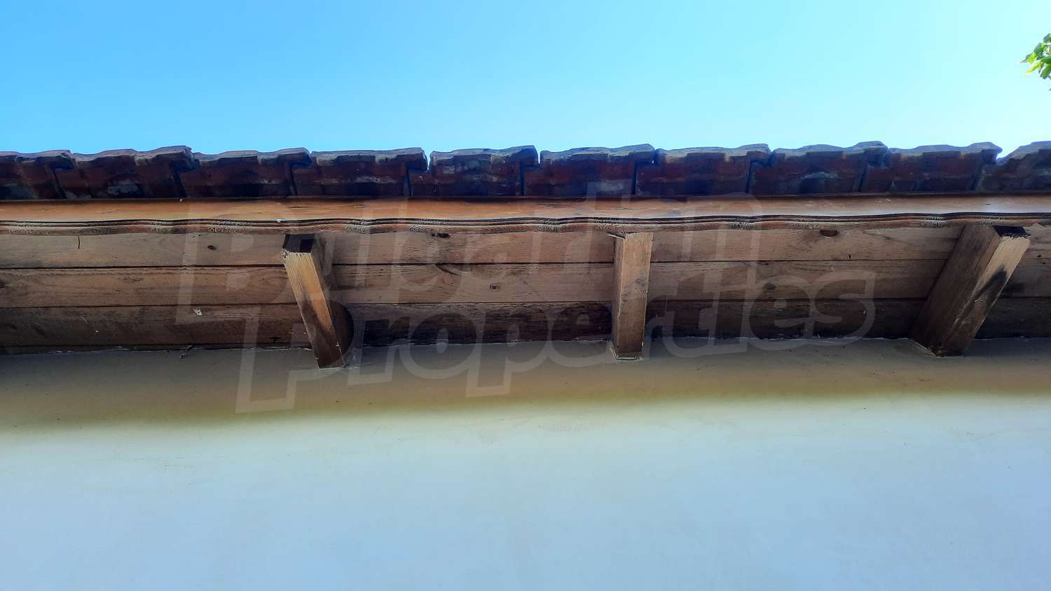 Gallery Picture 16