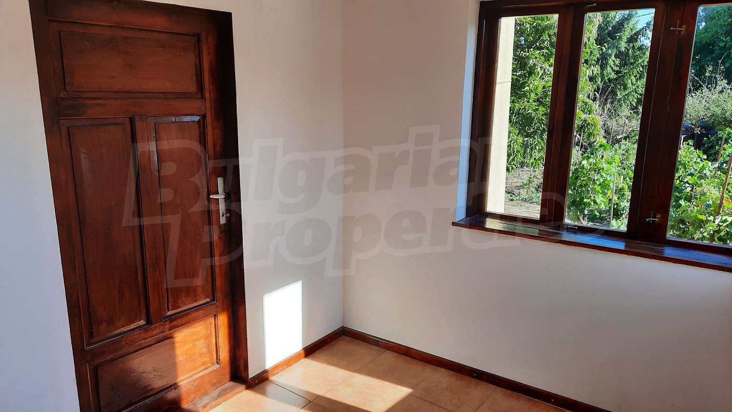Gallery Picture 27
