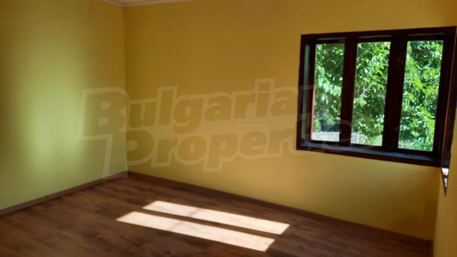 Gallery Picture 6