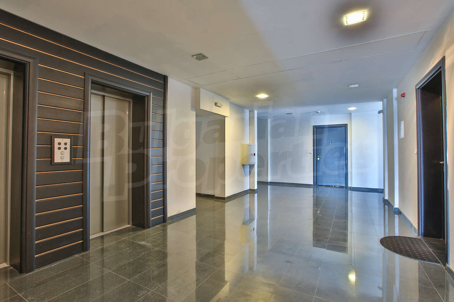Gallery Picture 19