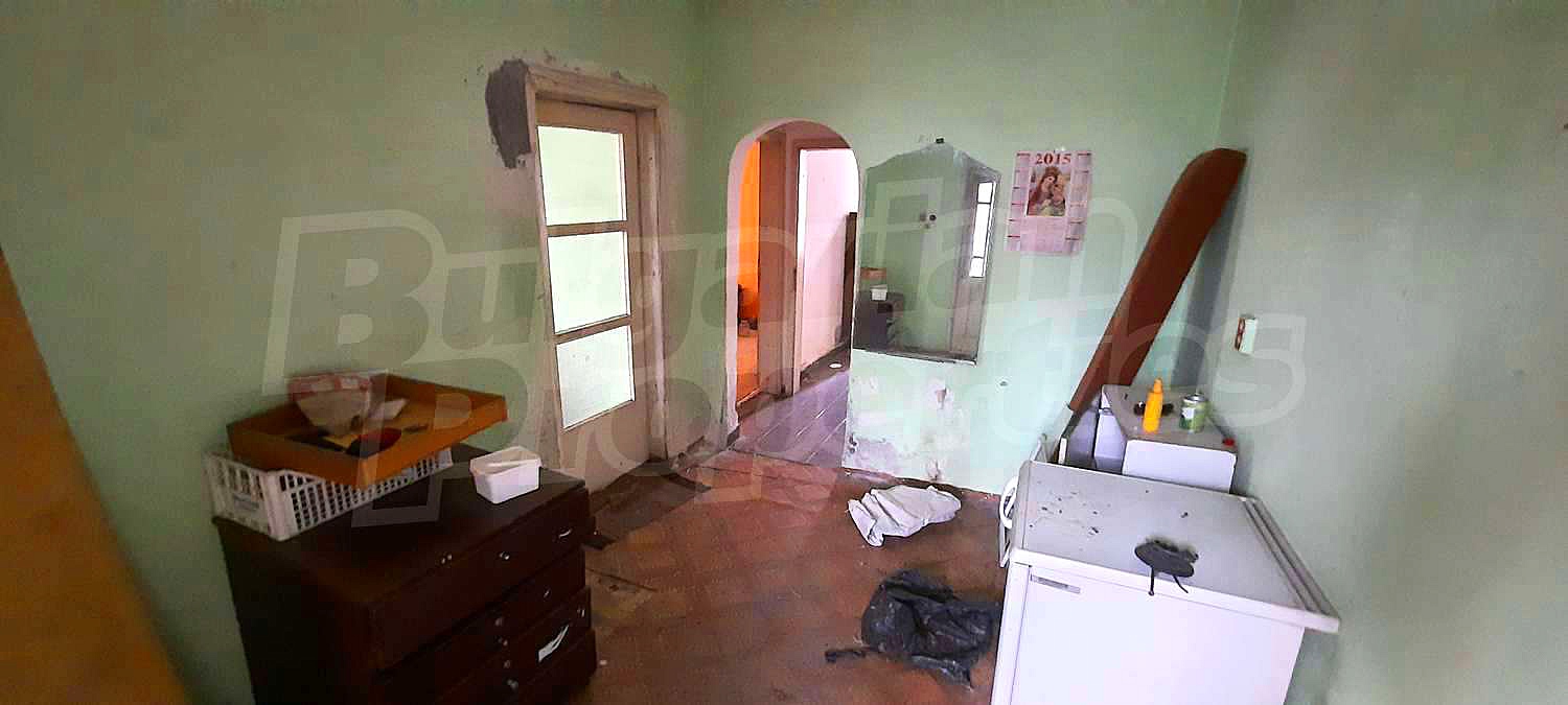 Gallery Picture 10