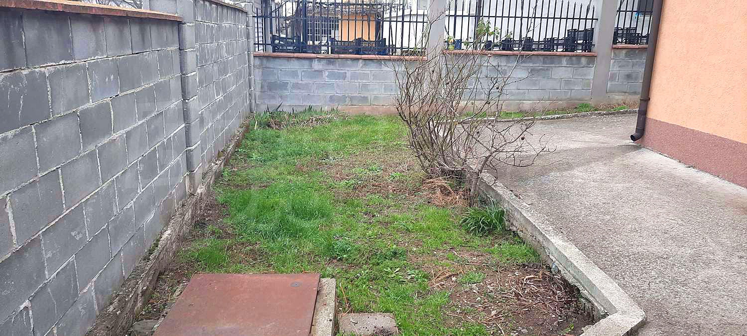 Gallery Picture 6
