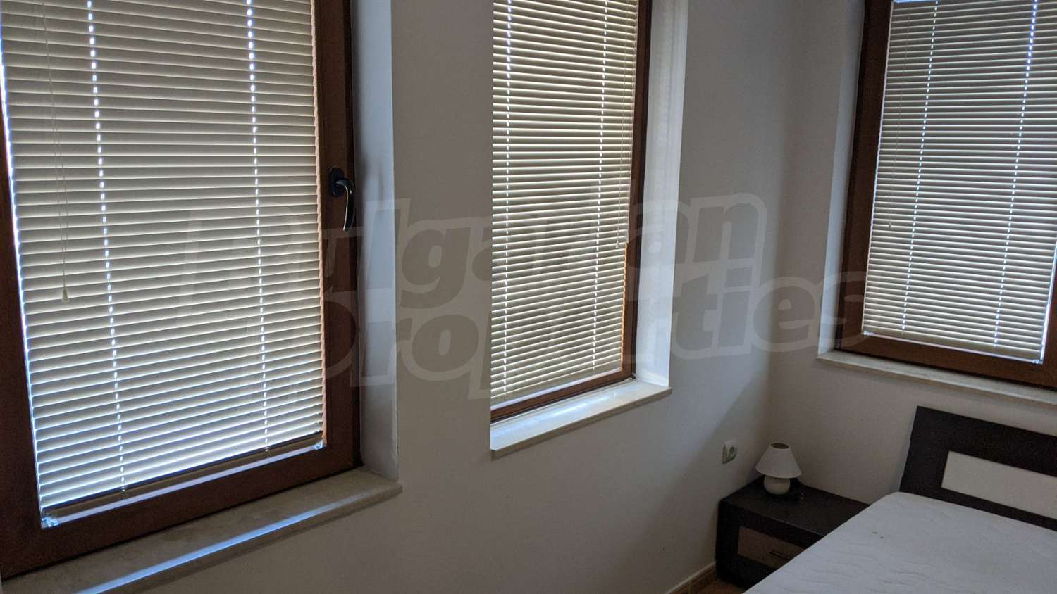 Gallery Picture 17
