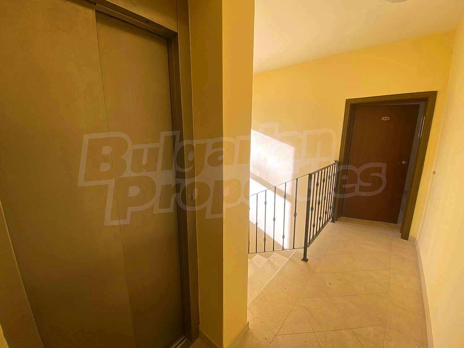 Gallery Picture 37