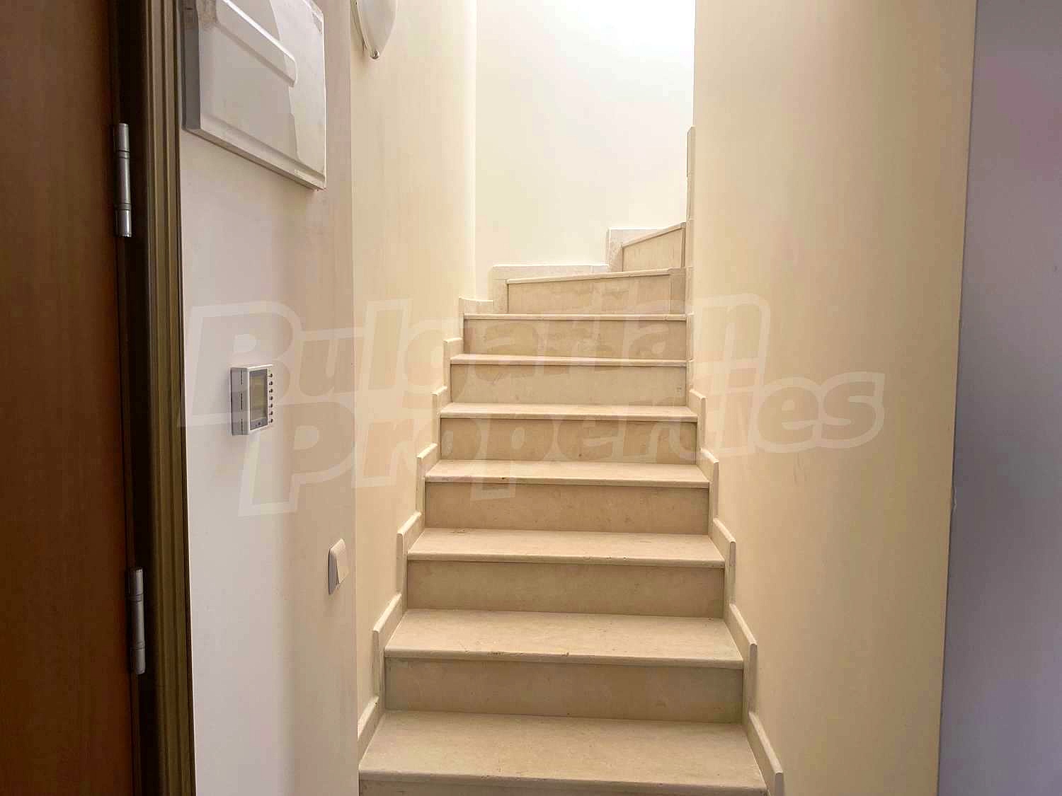 Gallery Picture 12