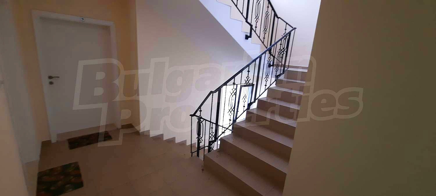 Gallery Picture 26