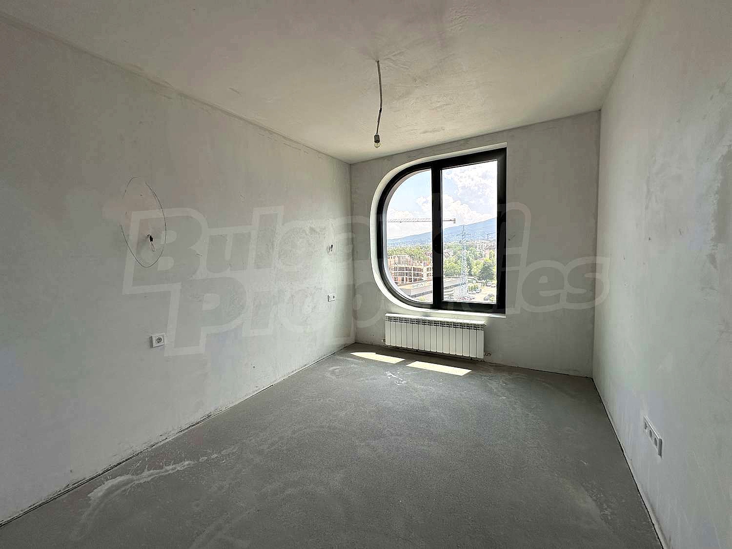 Gallery Picture 12