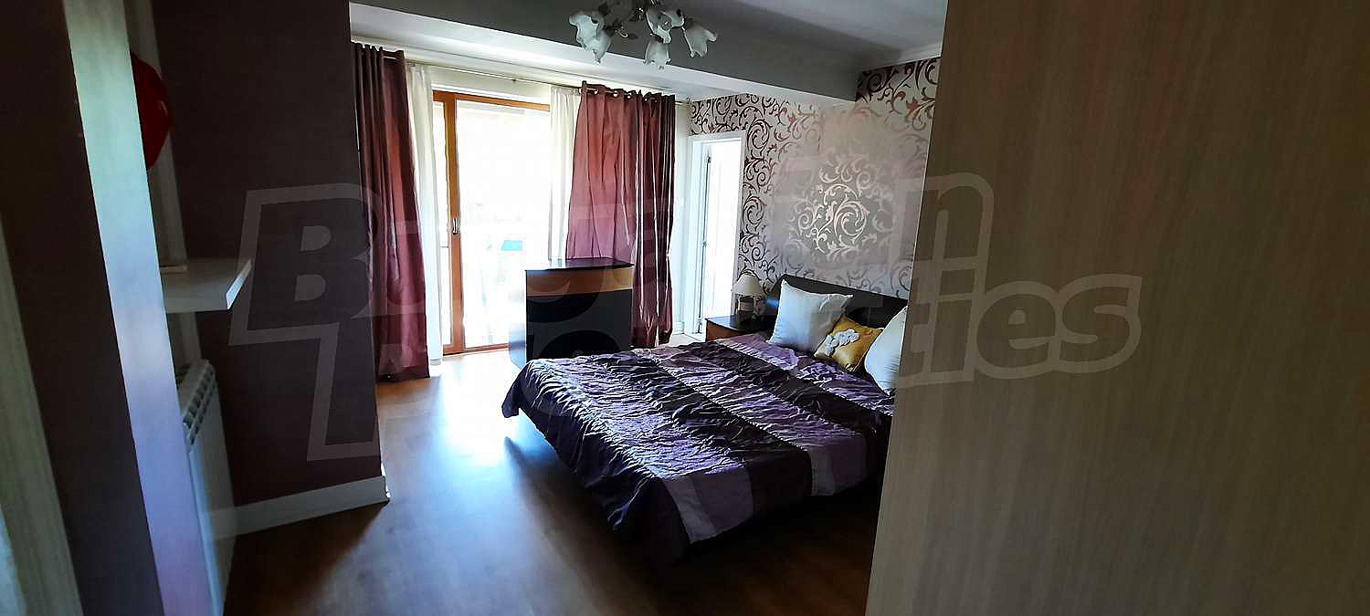 Gallery Picture 26