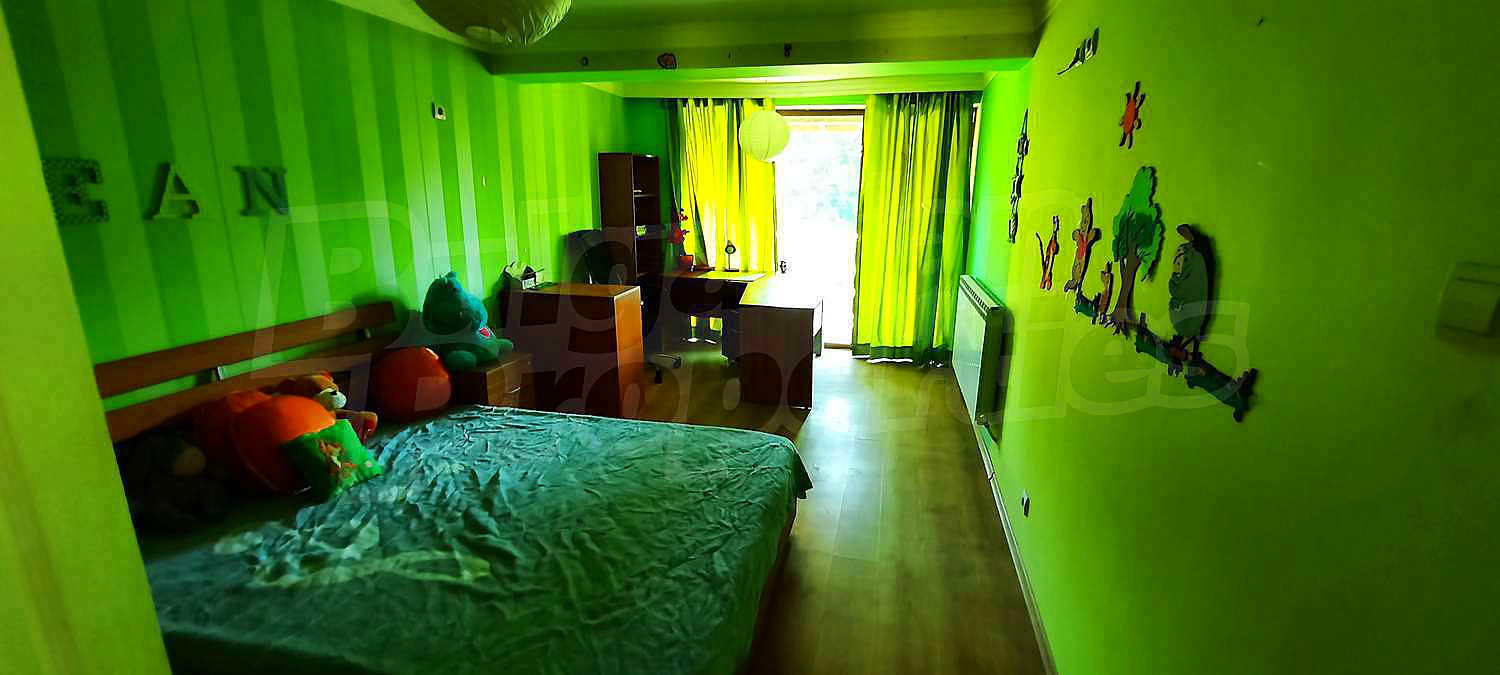 Gallery Picture 31