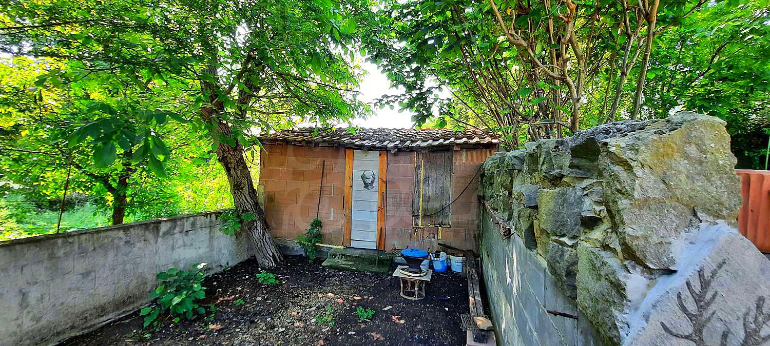 Gallery Picture 57