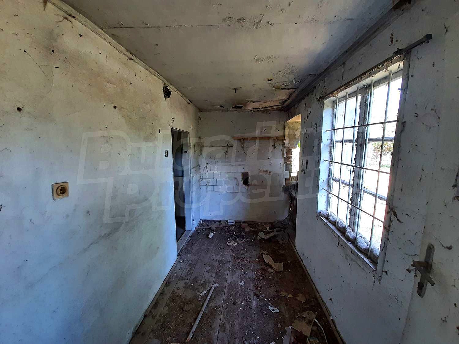 Gallery Picture 12