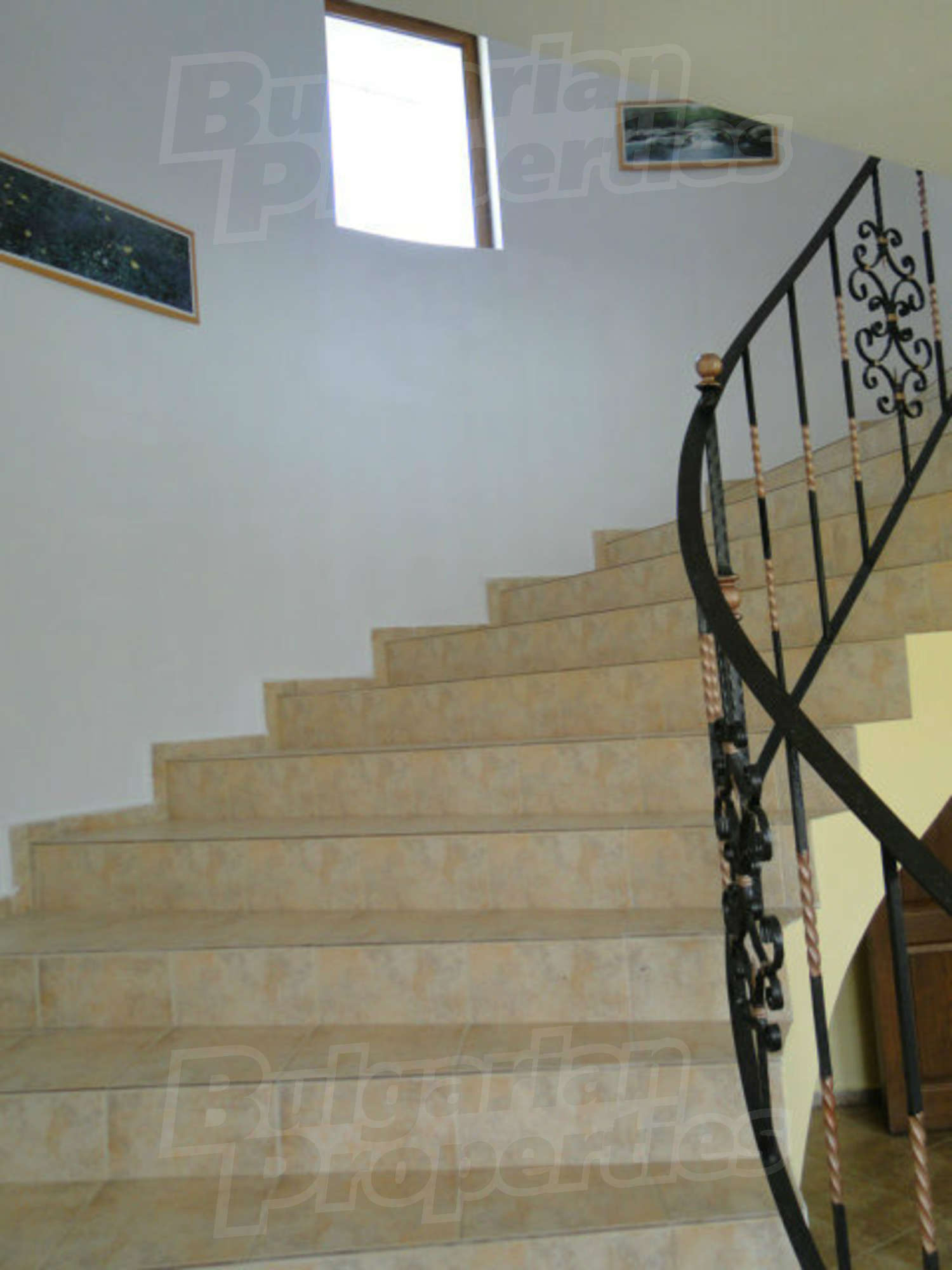 Gallery Picture 12